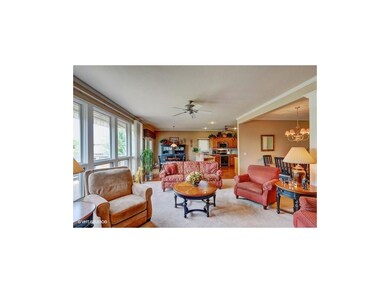 Living room and kitchen