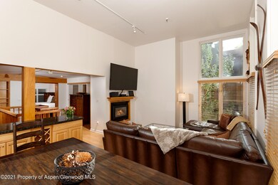 900 E Durant Ave unit B105, Aspen, CO 81611 - photo 2