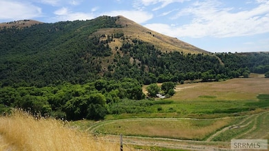 3436 Cub River Rd, Preston, WY 82363 - photo 3