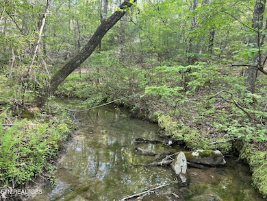 658 Peavine Firetower Rd, Crossville, TN 38571 - photo 3