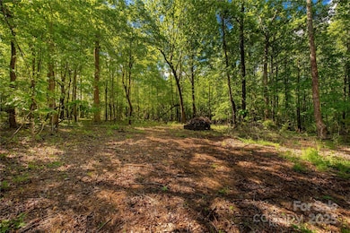 5212 Star Magnolia Ct, Clover, SC 29710 - photo 4