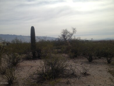 East-facing Rincon Mtns