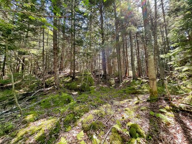 91A S Burnt Cove Road005