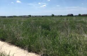 1313 38th St, Spirit Lake, IA 51360 - photo 7