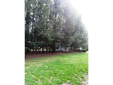 Yard/Garden. The large yard is bordered by pines, 
