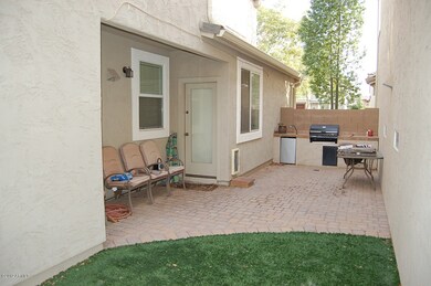 Backyard 1