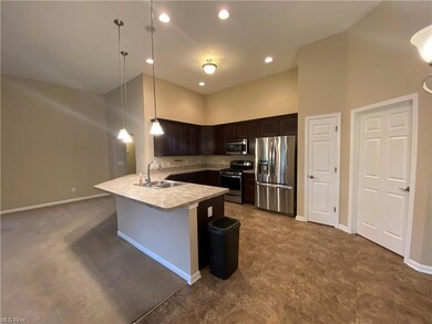 Kitchen with stainless steel appliances, decorativ