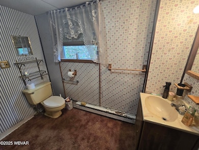 5868 N Route 44 Hwy, Jersey Shore, PA 17740 - photo 7