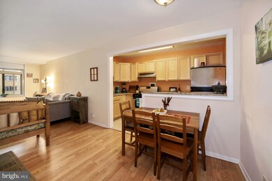 Bon Wit Plaza unit 315, Washington, DC 20037 - photo 5