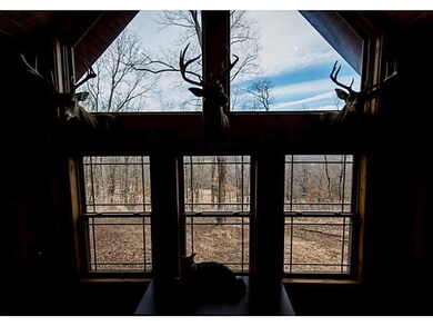 10557 Devils Den Rd, Winslow, AR 72959 - photo 6