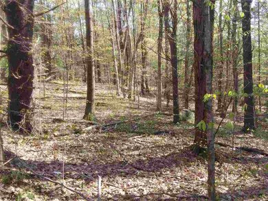 63 Watson Rd, Winchester, NH 03470 - photo 3