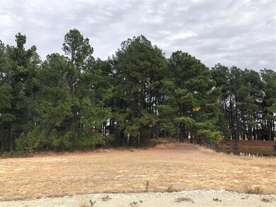 205 Farmhouse Rd, Springtown, TX 76082 - photo 6