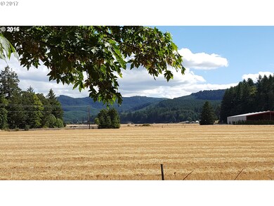 0 Mill Creek Rd unit 17426328, Sheridan, OR 97378 - photo 3