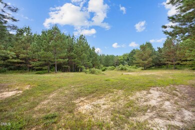 Lot D Wolf Tree Way, Efland, NC 27243 - photo 6