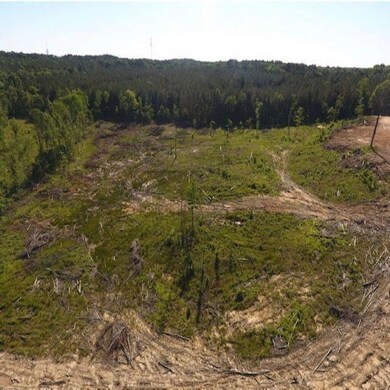 0 Highway 471 Hwy unit 1322797, Brandon, MS 39047 - photo 4