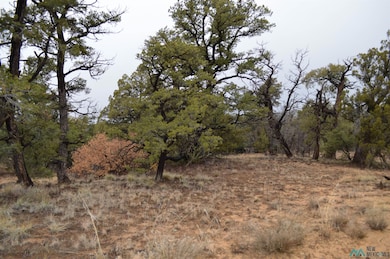Lot 221 Delph Ct, Candy Kitchen, NM 87321 - photo 4