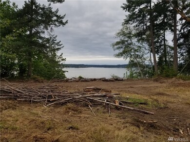 8210 128th Ave Ct, Anderson Island, WA 98303 - photo 2