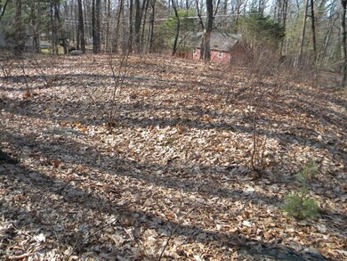 0 West Rd, Paupack Township, PA 18428 - photo 3