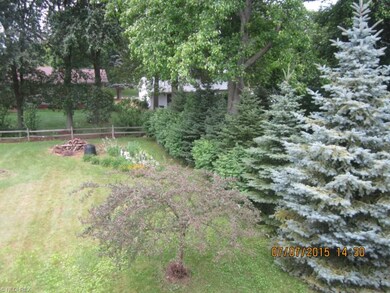 Flowering Trees, Corner flower garden and Blue Spr