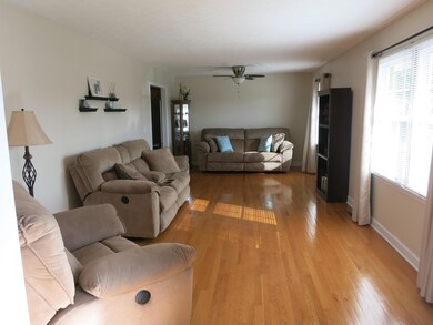 Large Living Room w/dining area