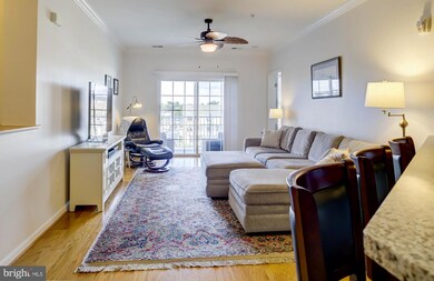 900 Marshy Cove, Cambridge, MD 21613 - photo 6