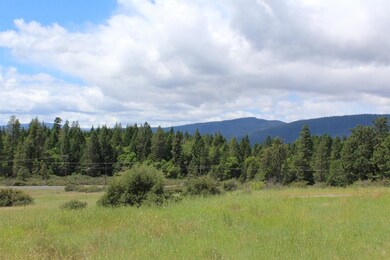 1816 Caves Hwy, Cave Junction, OR 97523 - photo 5