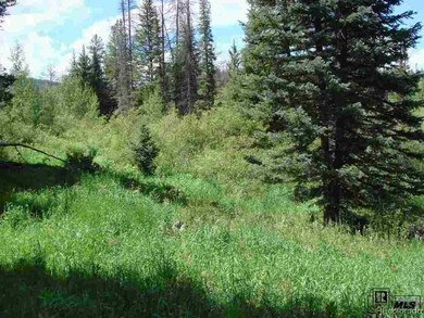 32615 Colt Trail, Oak Creek, CO 80467 - photo 2