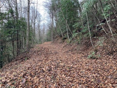 TBD Fall Creek Rd Fall Creek Rd, Purlear, NC 28665 - photo 5