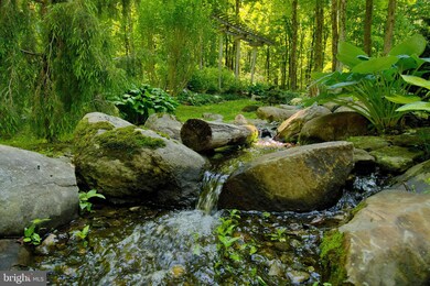 278 Cafferty Rd, Pipersville, PA 18947 - photo 4