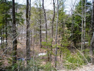 Land/Lot.