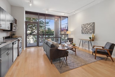 SoNo unit 204, Chicago, IL 60642 - photo 6