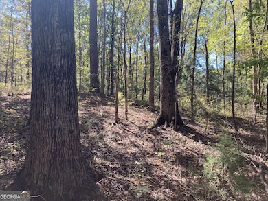 0 Flatwoods Rd unit 10649821, Elberton, GA 30635 - photo 5