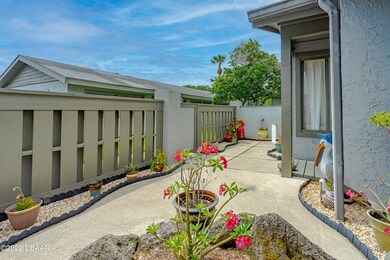 210 Lemon Tree-7