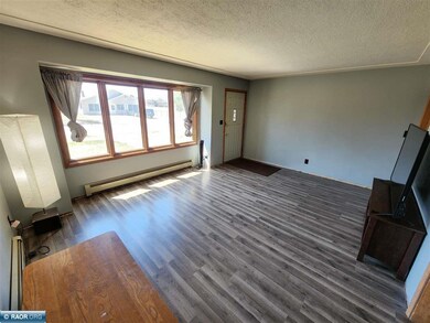 516 6th St SW, Chisholm, MN 55719 - photo 7