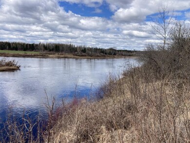 Looking downstream