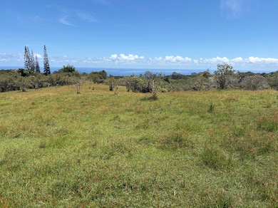 0 Ka'Ie'ie Rd unit 4 723685, Papaikou, HI 96781 - photo 5