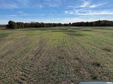 0000 Akin Rd, MacEdonia, IL 62860 - photo 4