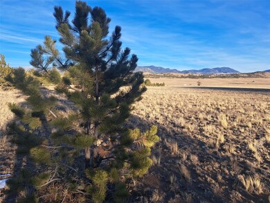 186 Boulder Rd, Hartsel, CO 80449 - photo 6