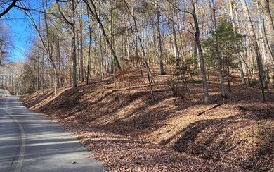 2721 Mooring Dr, Ellijay, GA 30540 - photo 6