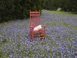 18082 Forrest Dr, Whitney, TX 76692 - photo 2