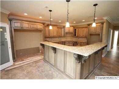 The walk-in pantry has a decorative door, and the opening on the right of the pantry will be a full-size refrigerator/freezer.