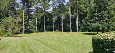 432 Annies Path, Gray, GA 31032 - photo 3