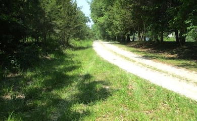 10acdriveway2