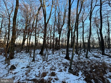 0 Gilbert Rd unit PAFL2010752, Chambersburg, PA 17202 - photo 2