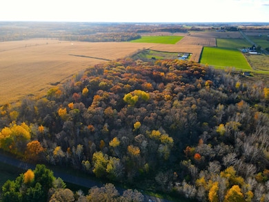 Lot 4 320th St, Forest Township, WI 54005 - photo 5