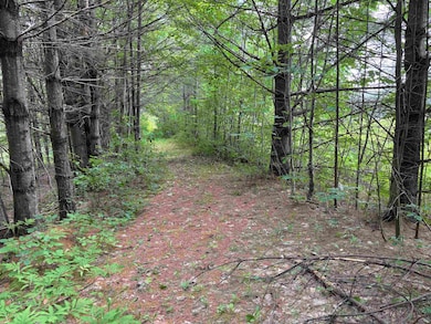 00 Simonsville Rd, Andover, VT 05143 - photo 3