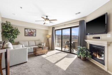 302 Stillwater Trail unit F222, Branson, MO 65616 - photo 4