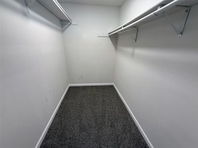 Walk in closet with carpet floors