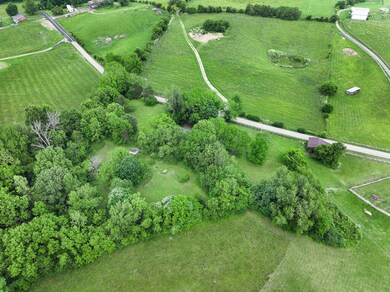 6745 Fords Mill Rd, Versailles, KY 40383 - photo 5