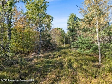 1689 Cork Hill Rd, Brackney, PA 18812 - photo 5